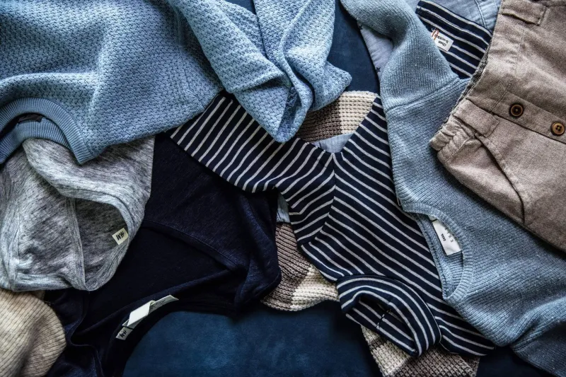 Your Brain on Bold: The Real Science Behind Why Certain Colors and Fabrics Change Everything